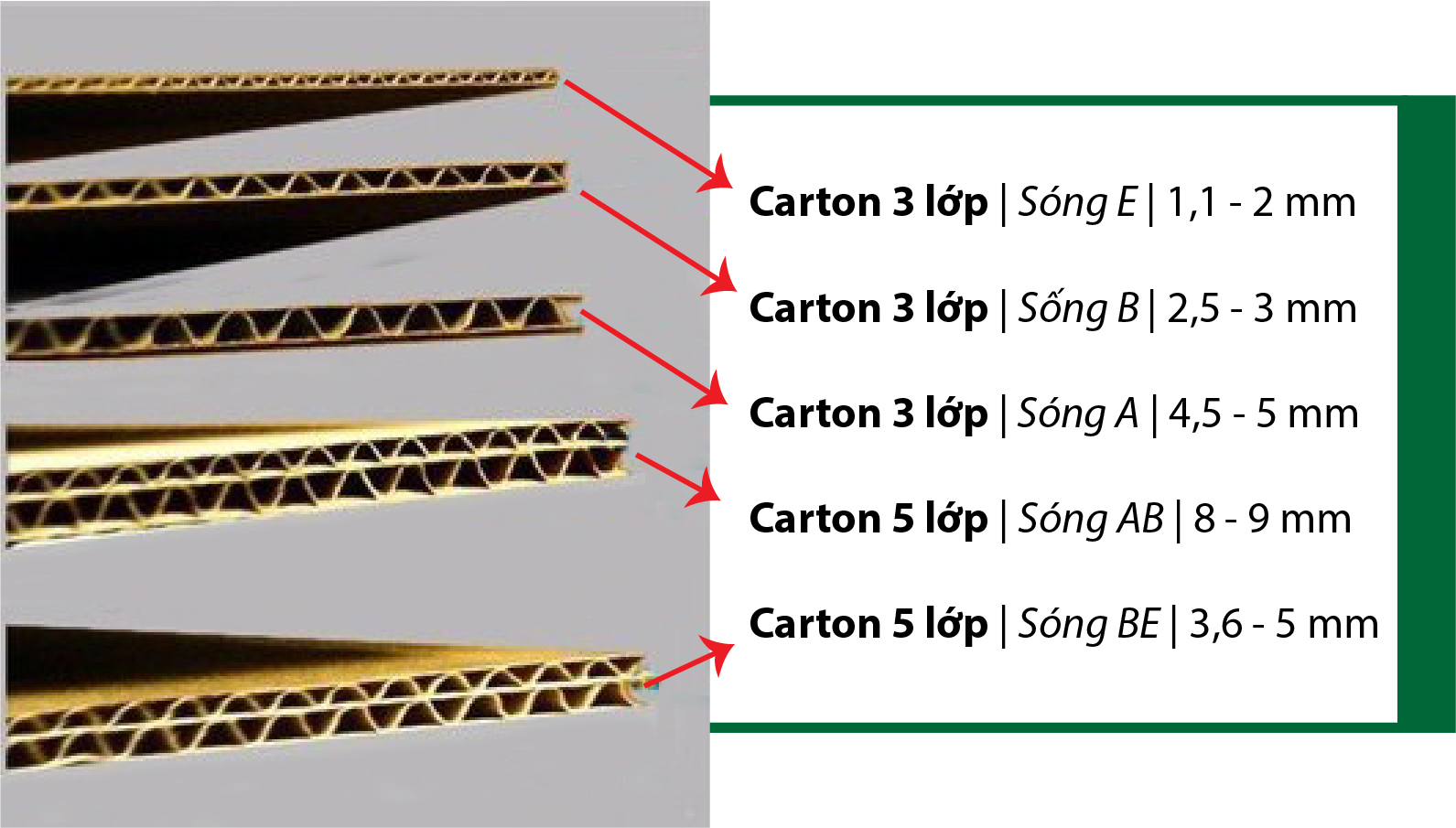 mau-in-thung-carton-theo-so-lop