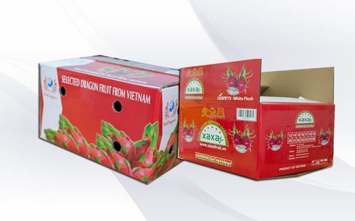 khoa-hoc-da-xac-dinh-thung-carton-gan-lien-voi-cuoc-song-inantienhung.com